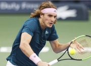 复仇之战！费德勒率领日本队成功爆冷取胜的简单介绍