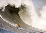 拜仁观众热烈欢呼！，JackeyLove迎来二十赛季出色发挥上演精彩一战